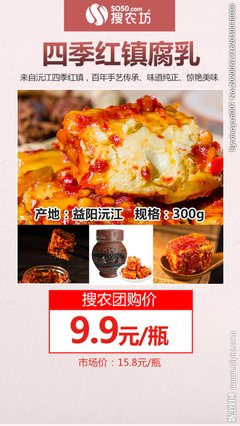 四季红的读后感大全