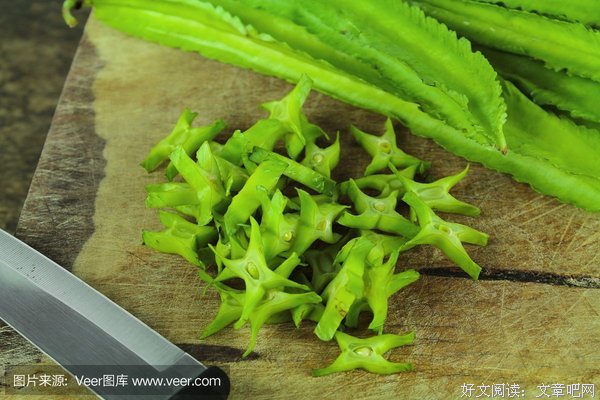 《索福克勒斯悲剧五种》读后感精选