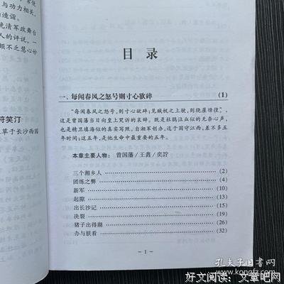 战天京（增订典藏版）读后感1000字