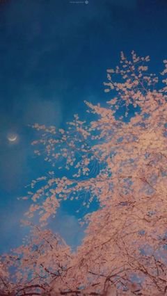 有关风霜雨雪的美句摘抄