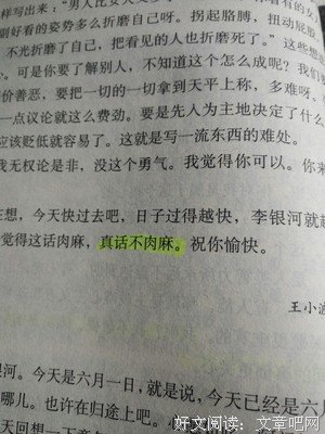 《王小波作品集（杂文卷）》读后感摘抄