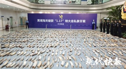 《血腥数字》经典观后感集
