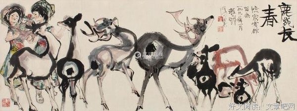 鹿苑长春经典读后感有感