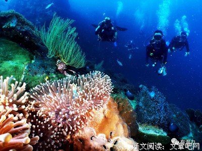 《水下三千米：我的潜水十年》读后感锦集