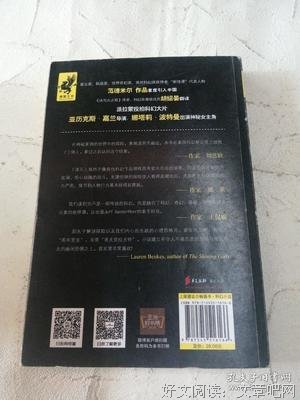 遗落的南境3：接纳经典读后感有感