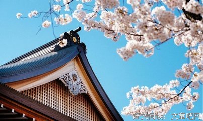 《神风特攻队、樱花与民族主义》读后感锦集