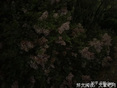 关于可用的句子