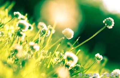 有关四月是你的谎言的句子