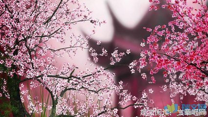 关于伤感的句子