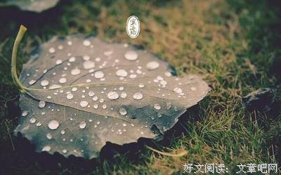 关于北岛的优美句子
