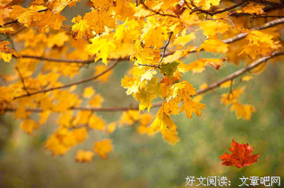 关于喜欢的句子