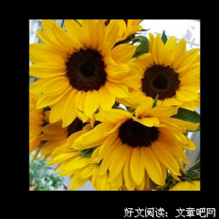 歌尽情伤优美的句子