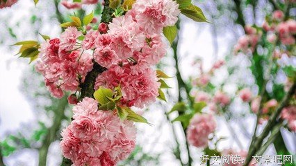 世界需要的力量优美的句子
