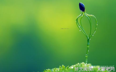 有关浅释人生的句子
