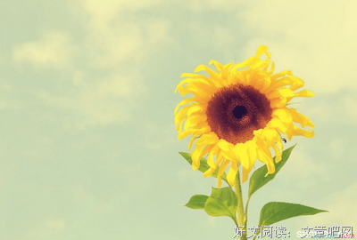 微笑前行优美的句子