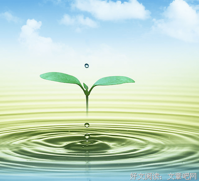 感悟经典的句子