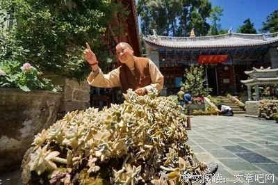 文艺与纯粹的美优美的句子