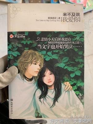 来不及说我爱你的优美句子