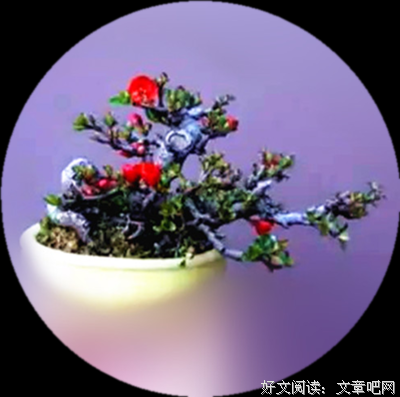 有关连城三纪彦50句经典名言