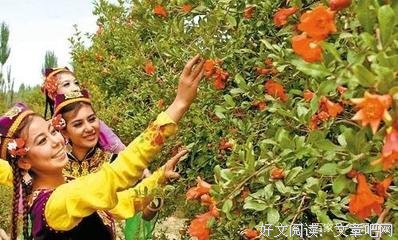 阿娜尔古丽的名句