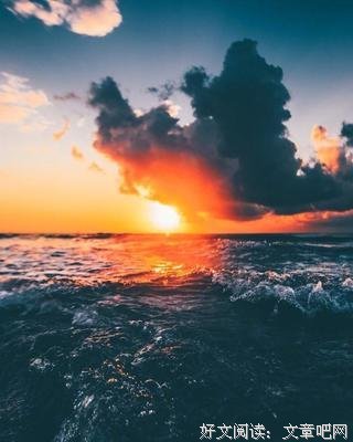 《海边一年》经典句子