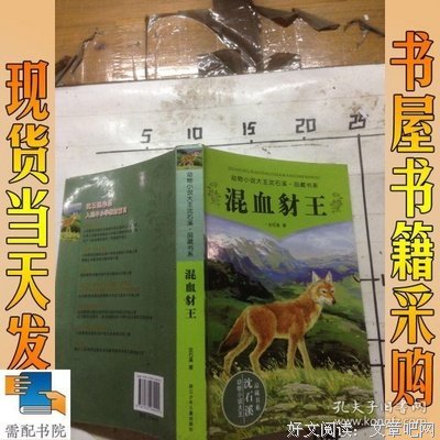 最新的《混血豺王》经典语句