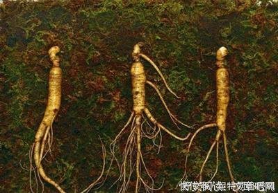 《濒死之绿》经典名句大全