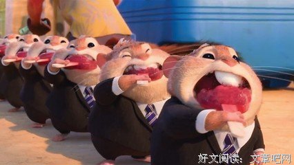 《八月处子》的观后感大全