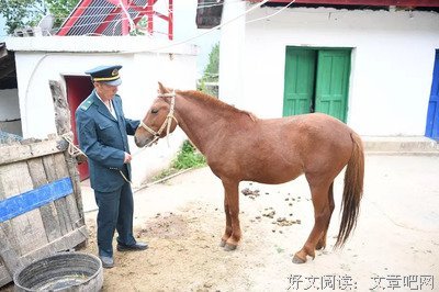 《信使》经典影评1000字