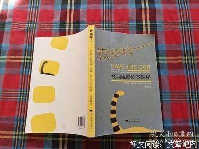 救猫咪2：经典电影剧本解析读后感精选