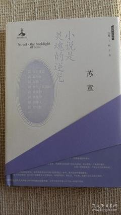 小说是灵魂的逆光读后感100字