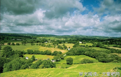 寂静证词·呢喃经典读后感有感