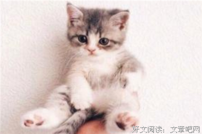 《燃烧的原野》读后感1000字