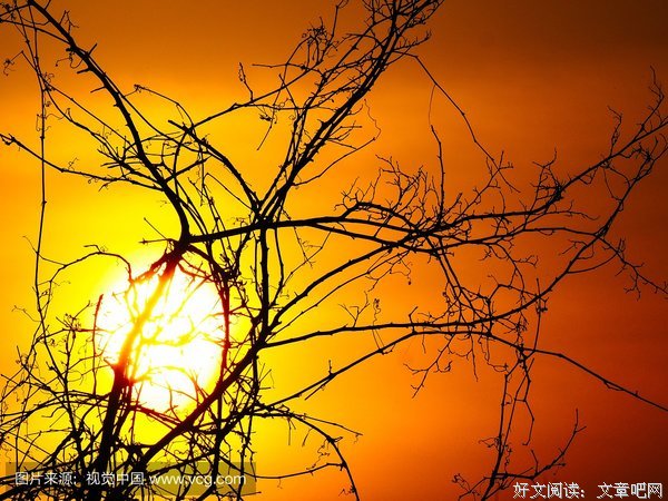 关于夕阳西下名言名句