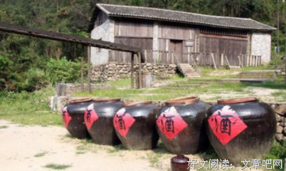 《酒是故乡醇》影评摘抄