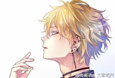 《桃花债》读后感锦集