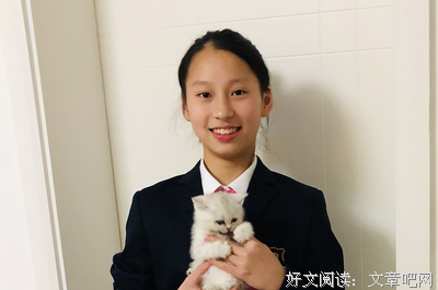 《区线与环线》读后感精选