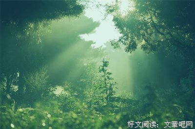 山有扶苏 隰有荷华好词好句