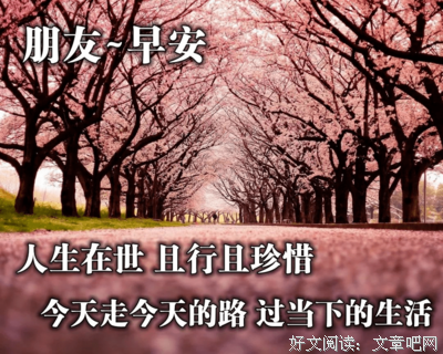 最美的阳光的优美句子