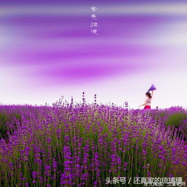 思念的句子