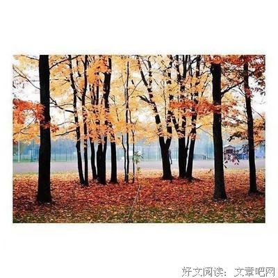 《绽放》的句子