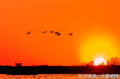 踏雪无痕的句子