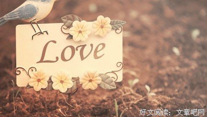 《妻子的谎言》的句子