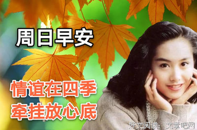 一周的朋友的句子