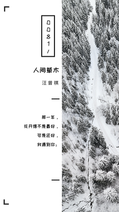 花开丶 那年经典的句子