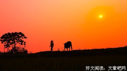 一个人的遗忘句子