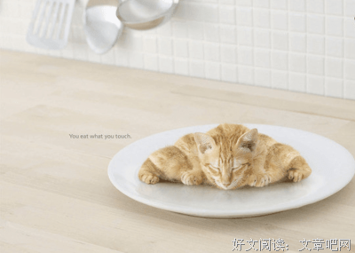 致青春经典的句子
