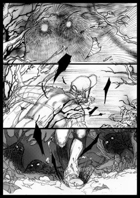 关于黑猫白袜子名言