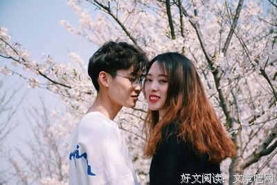 最全的《犹记斐然》经典语句大全