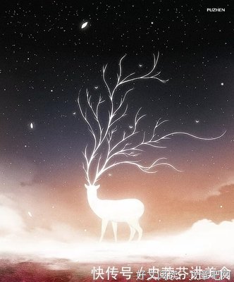 最新的《狐狸叔叔》名句欣赏